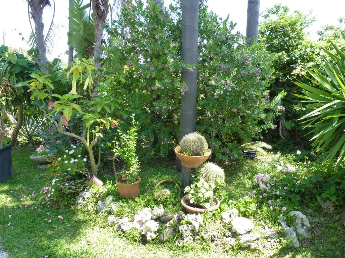 Holidaysora Taormina - Il Giardino Di Graziella מראה חיצוני תמונה